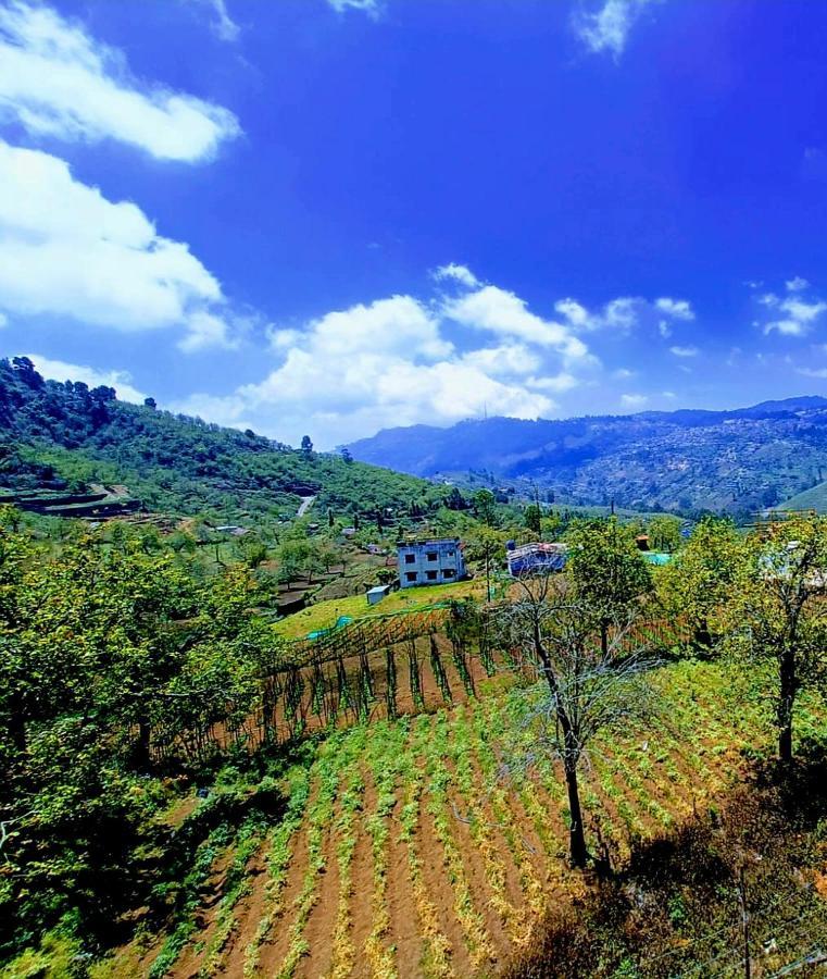 Salora Kodai Kodaikanal Dış mekan fotoğraf
